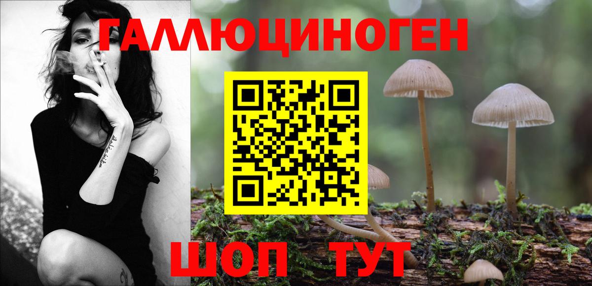 Чехов  Галлюциногенные грибы Psilocybe  Галлюциногенные грибы Psilocybine cubensis  Вход с VPN 